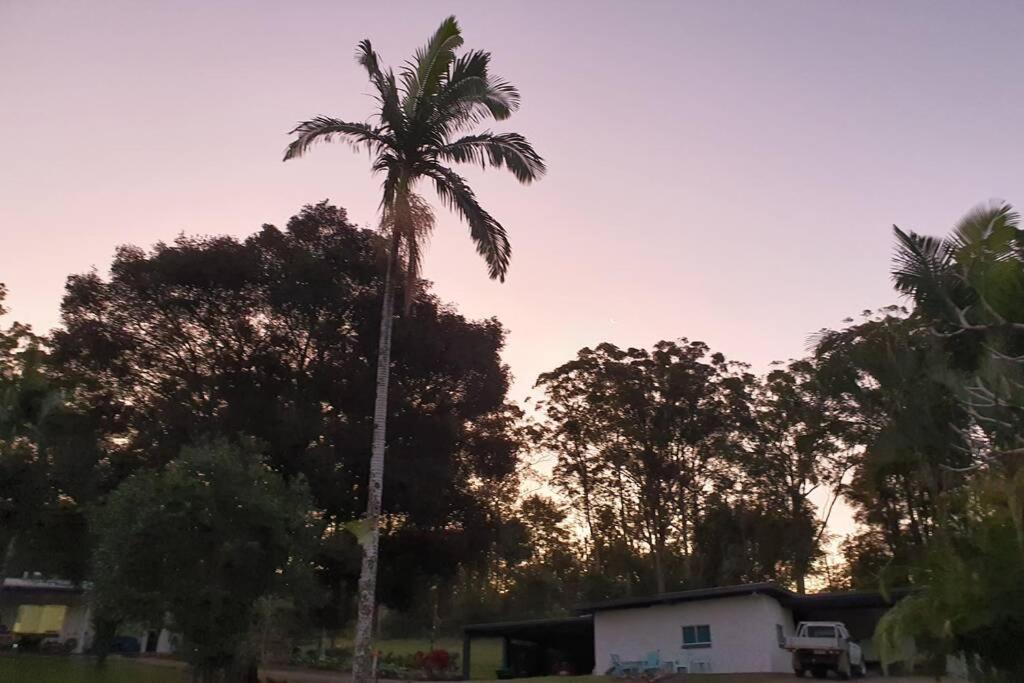 Palmwoods Cabin Country Retreat Paskins Farm المظهر الخارجي الصورة