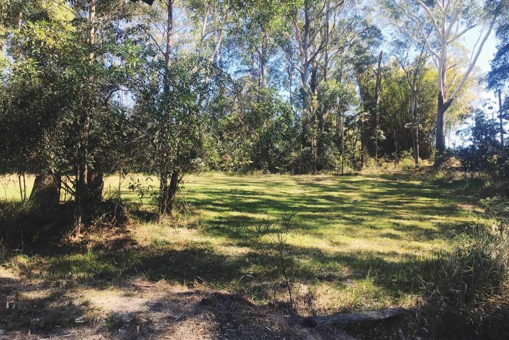 Palmwoods Cabin Country Retreat Paskins Farm المظهر الخارجي الصورة