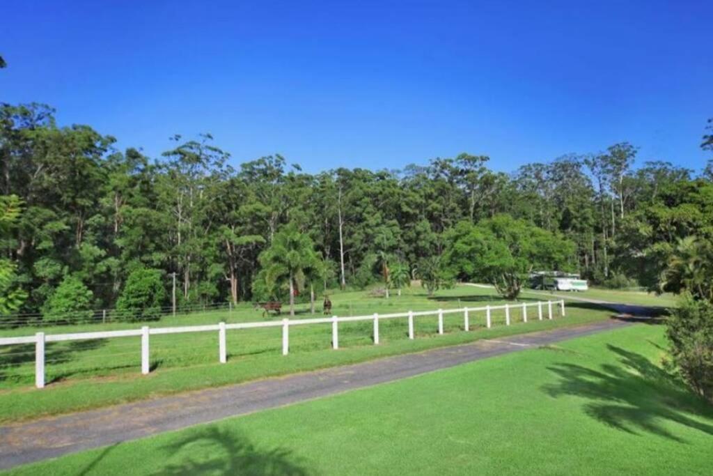 Palmwoods Cabin Country Retreat Paskins Farm المظهر الخارجي الصورة